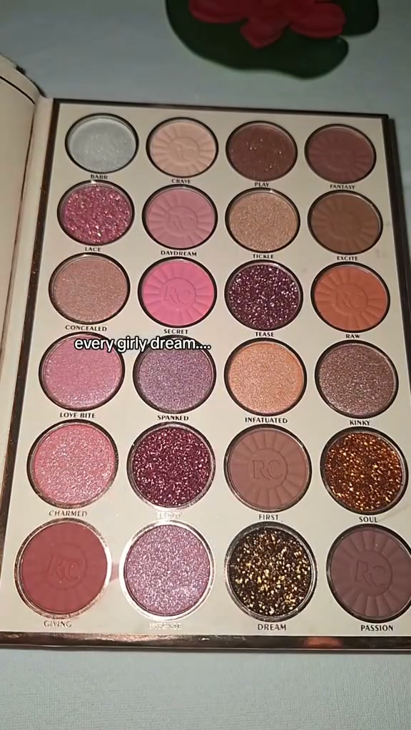 MESSY MAKEUP BAG? CAN’T FIND YOUR SHADE? TOO MUCH TO CARRY? THIS BOOK FIXES ALL THREE. (LAST DAY SALE)