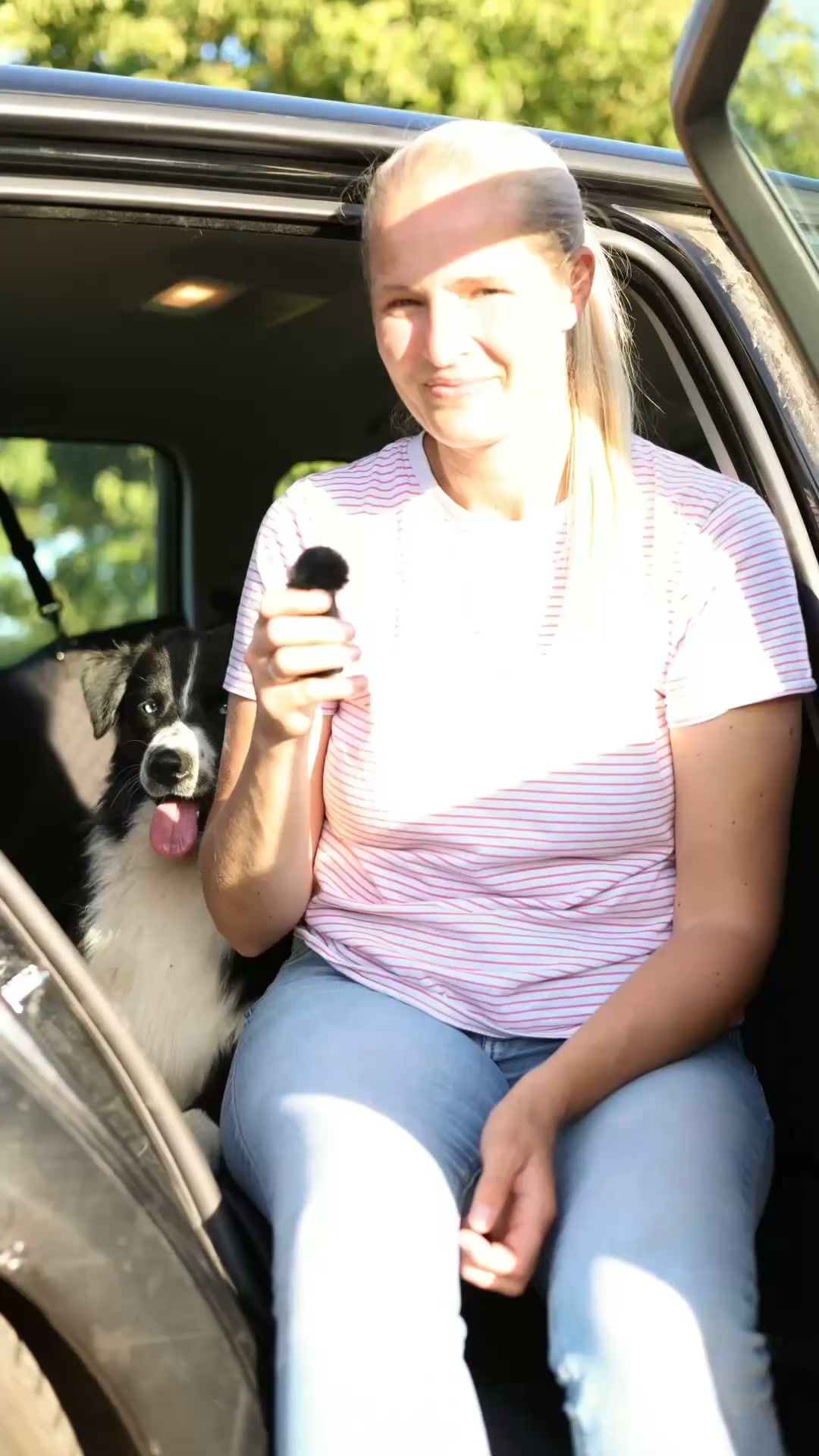 Gør bagsædet til din hunds luksuslounge