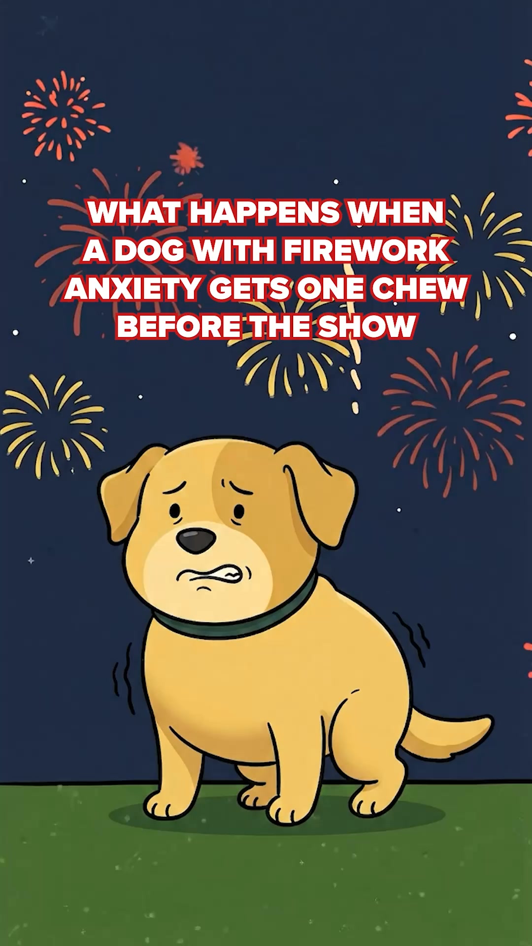Help Your Dog Feel Safe Again.
