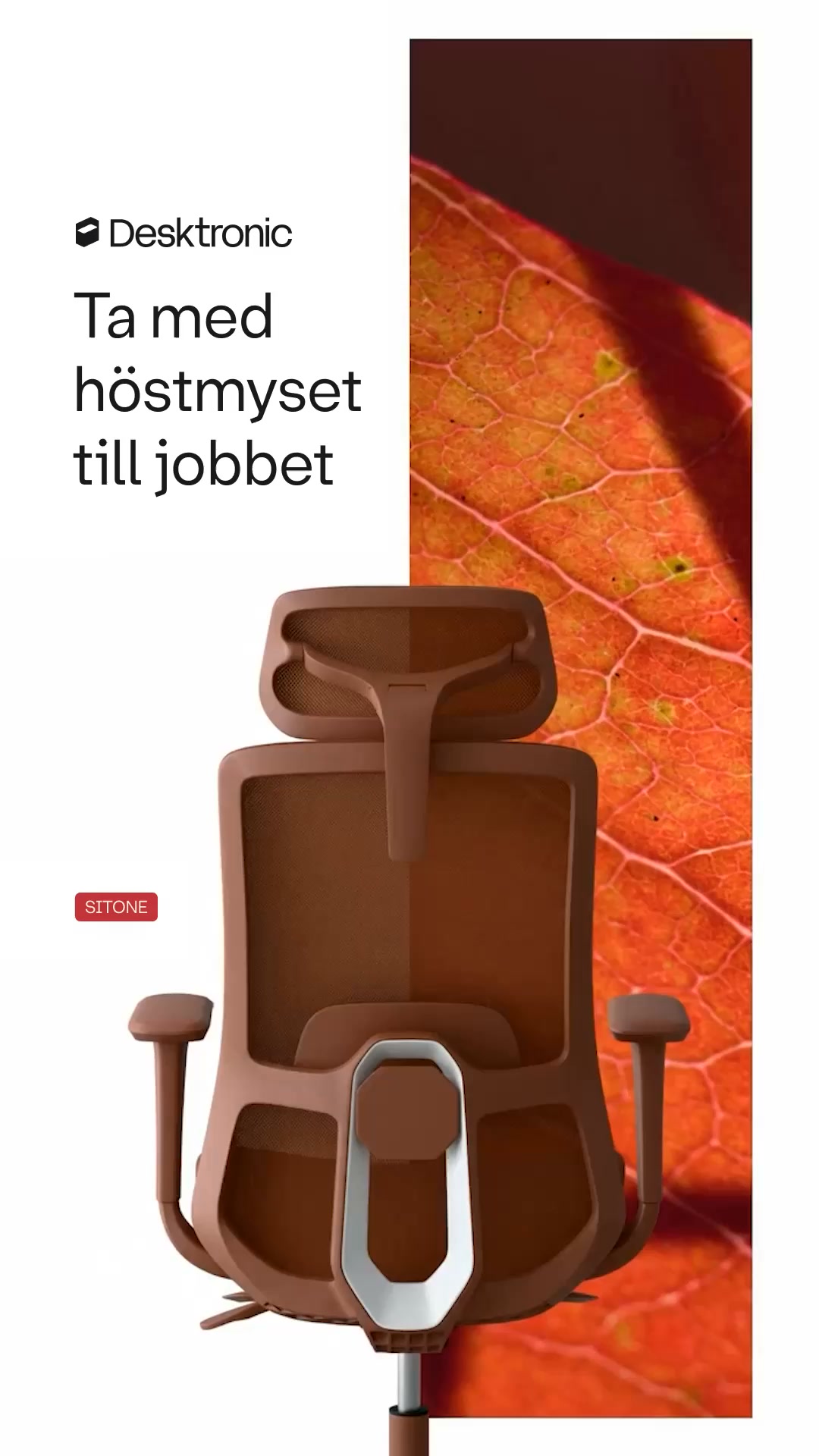 Mysig höst. Nytt skrivbord.