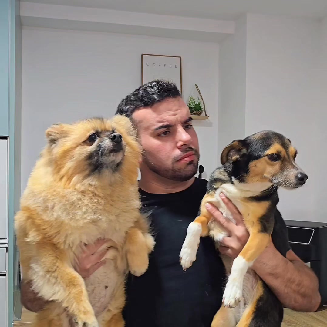 Entra en la calculadora de GUAU&CAT y descubre cuánto costaría alimentar mejor a tu perro