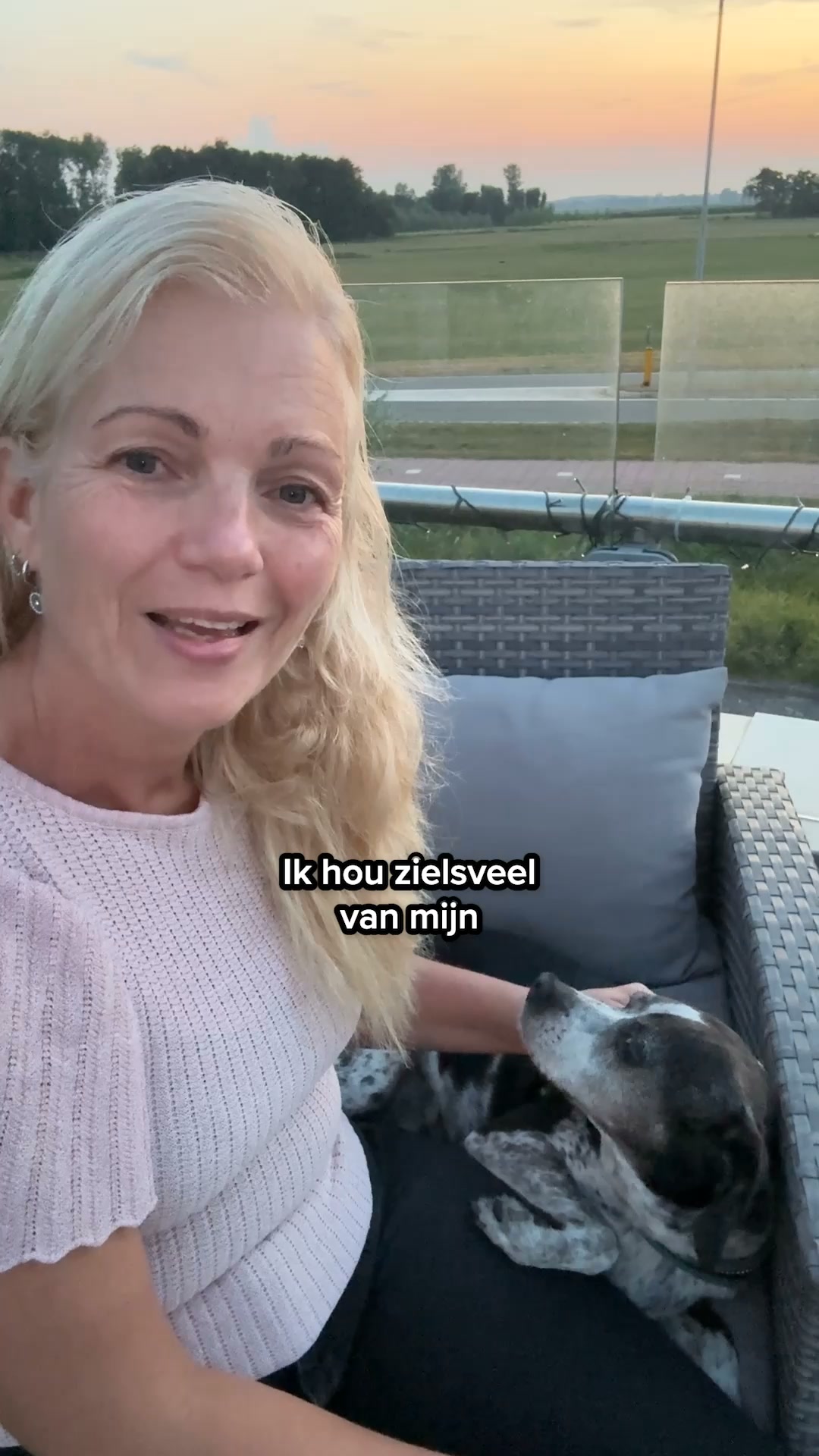 Ontdek de snackbox voor jouw hond