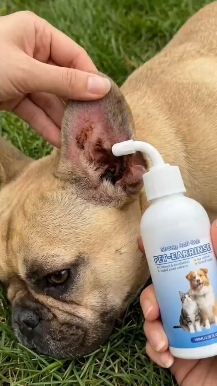 Ear Cleaner | Stops itching & removes wax for dogs & cats