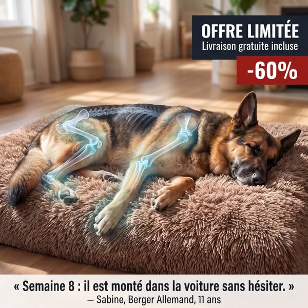 60 % de réduction + Livraison offerte !