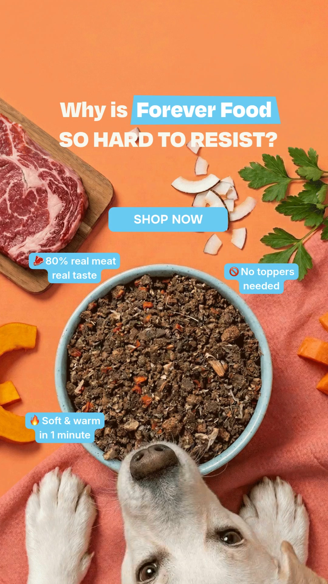 Done with ultra-processed food? So is your dog.