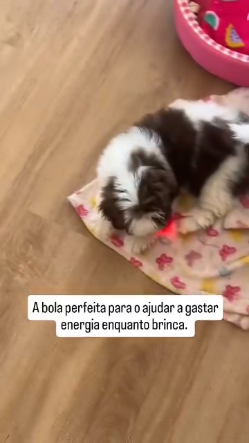 Agora PORTES GRÁTIS