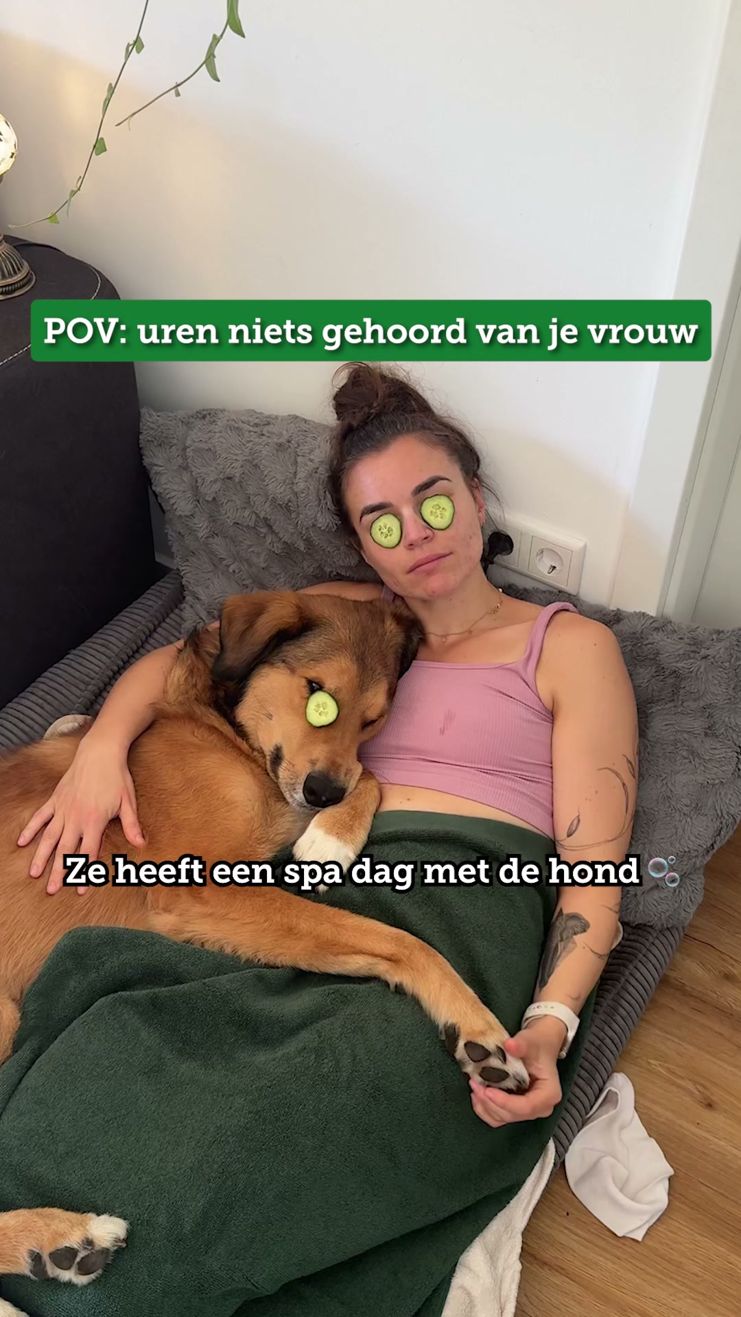 Alleen het beste voor je viervoeter