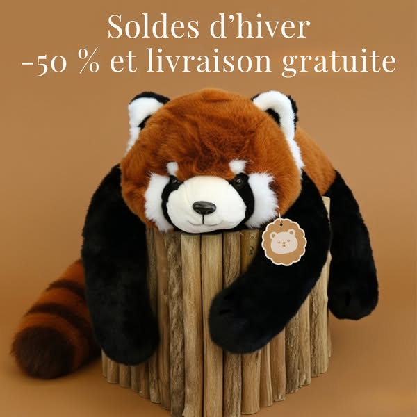 50% dès maintenant !