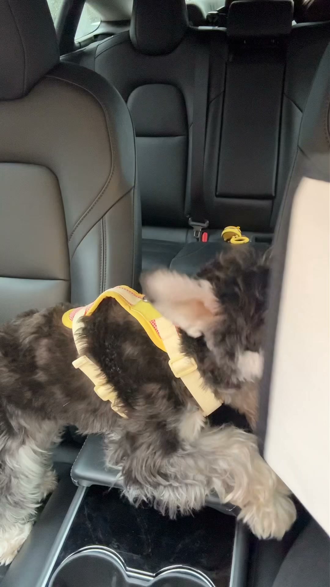 A Safer Seat Beside You
