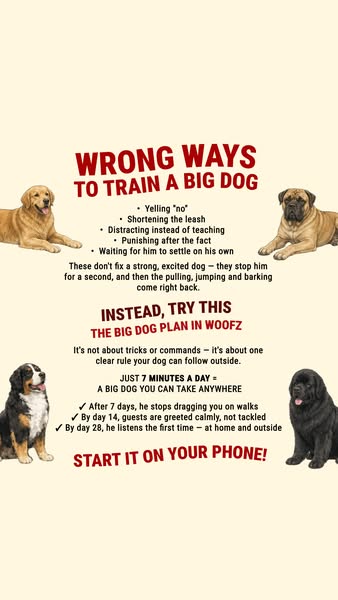 Big paws. Good manners. Start now