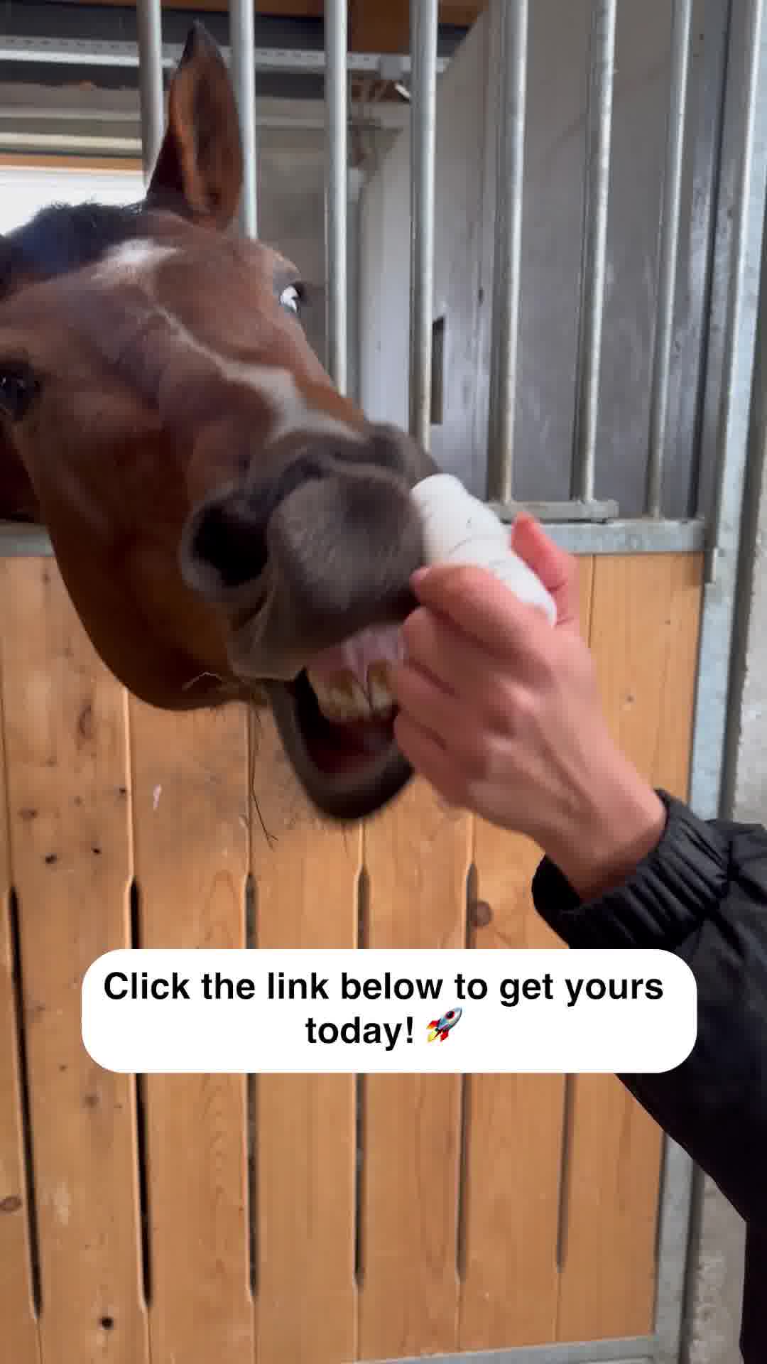 A calmer horse, a better ride