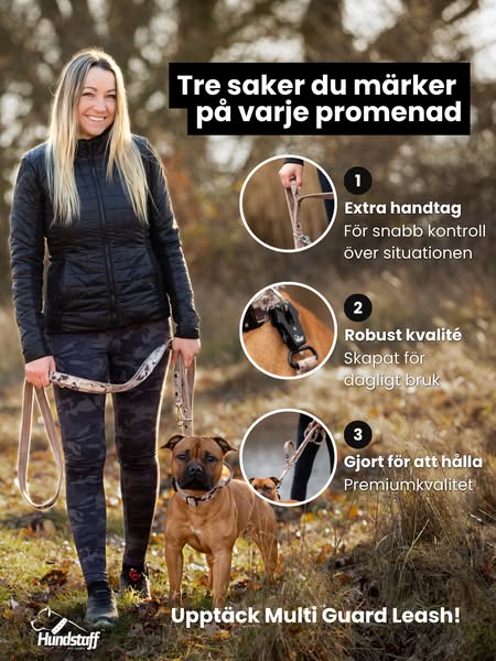 Valt av över 100 000 hundägare