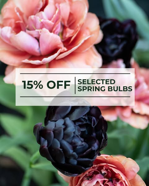 15% off selected spring bulbs