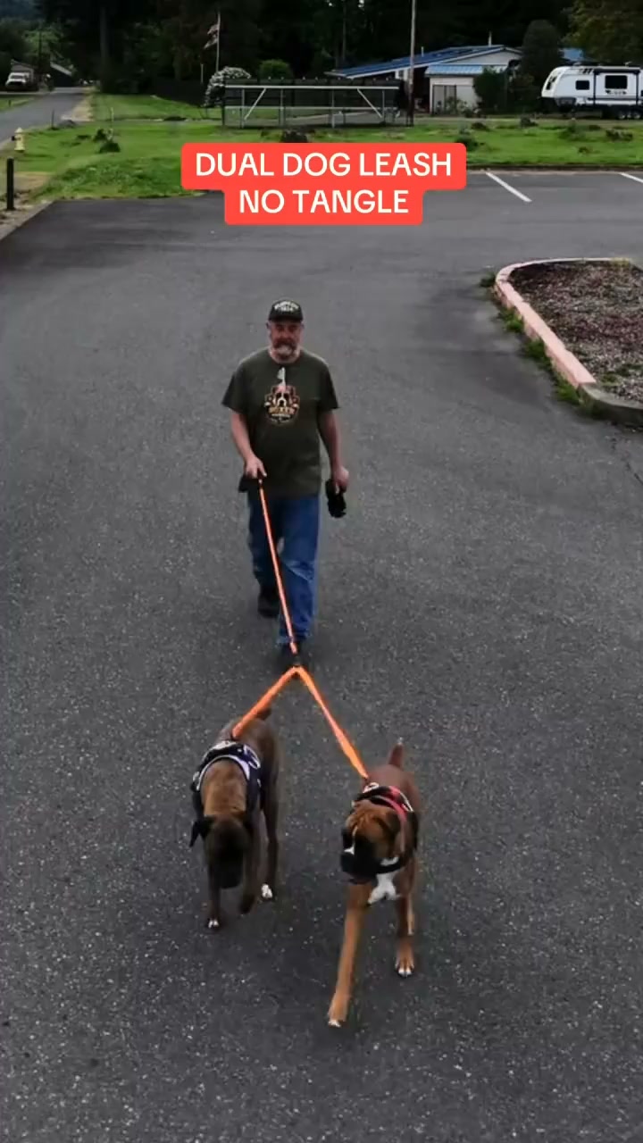 They Cross. The Leash Doesn’t.