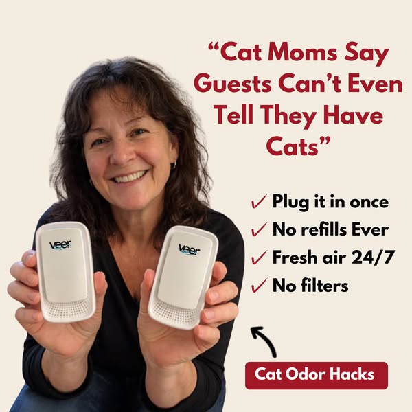 Get Rid of the Cat Pee Smell In Your Home (MUST READ)