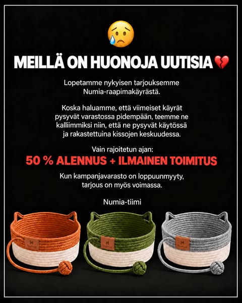 Kissan uusi lempipaikka