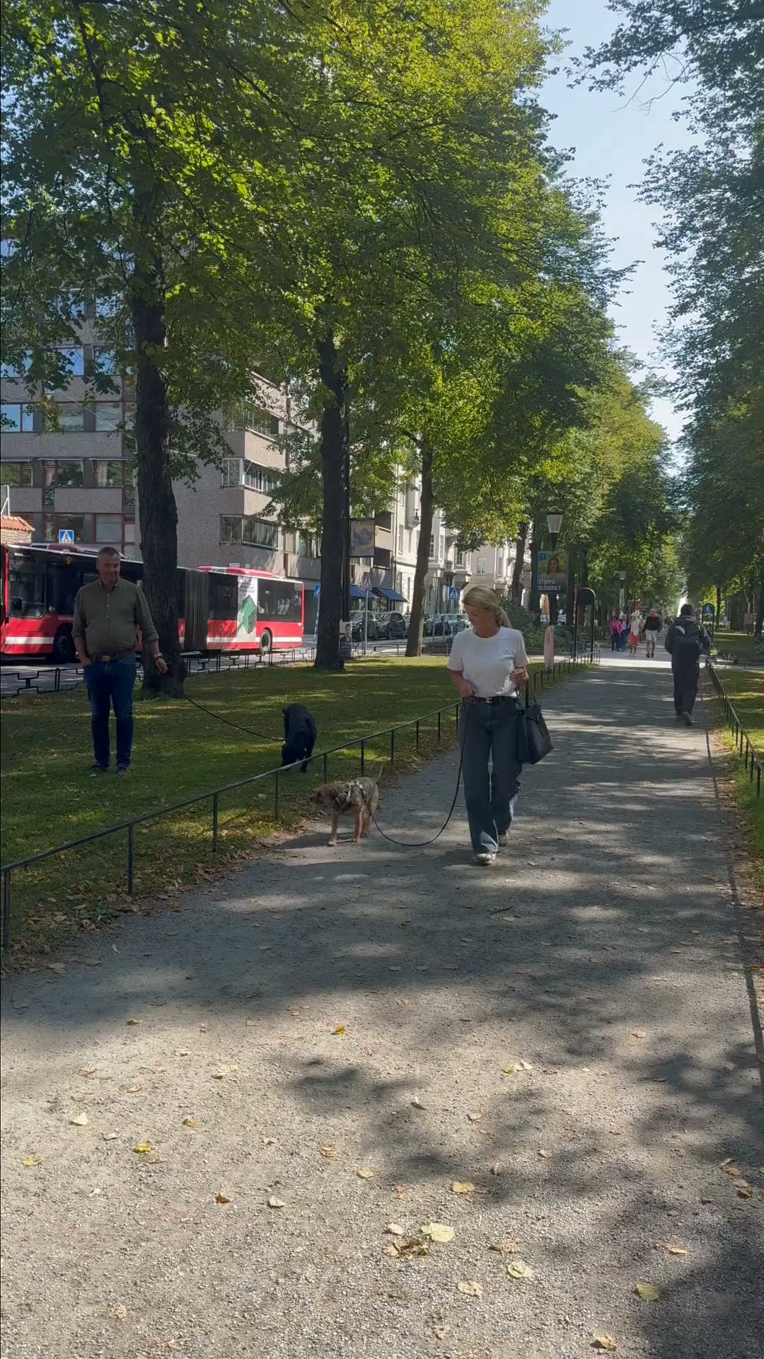 Mitt klimakteriehack för blodsockret