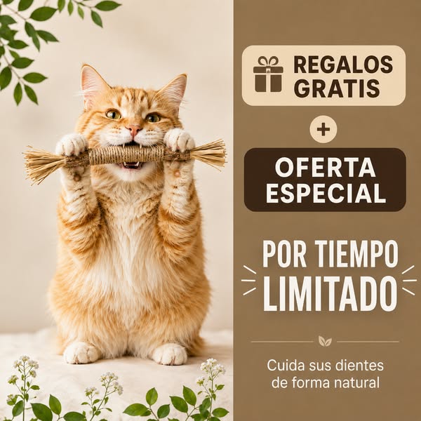Regalos gratis con tu pack