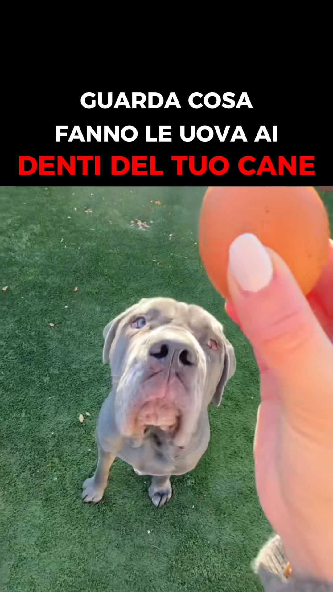 Finalmente — un metodo che funziona