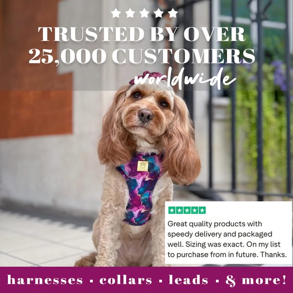 Join over 25,000 happy dog owners