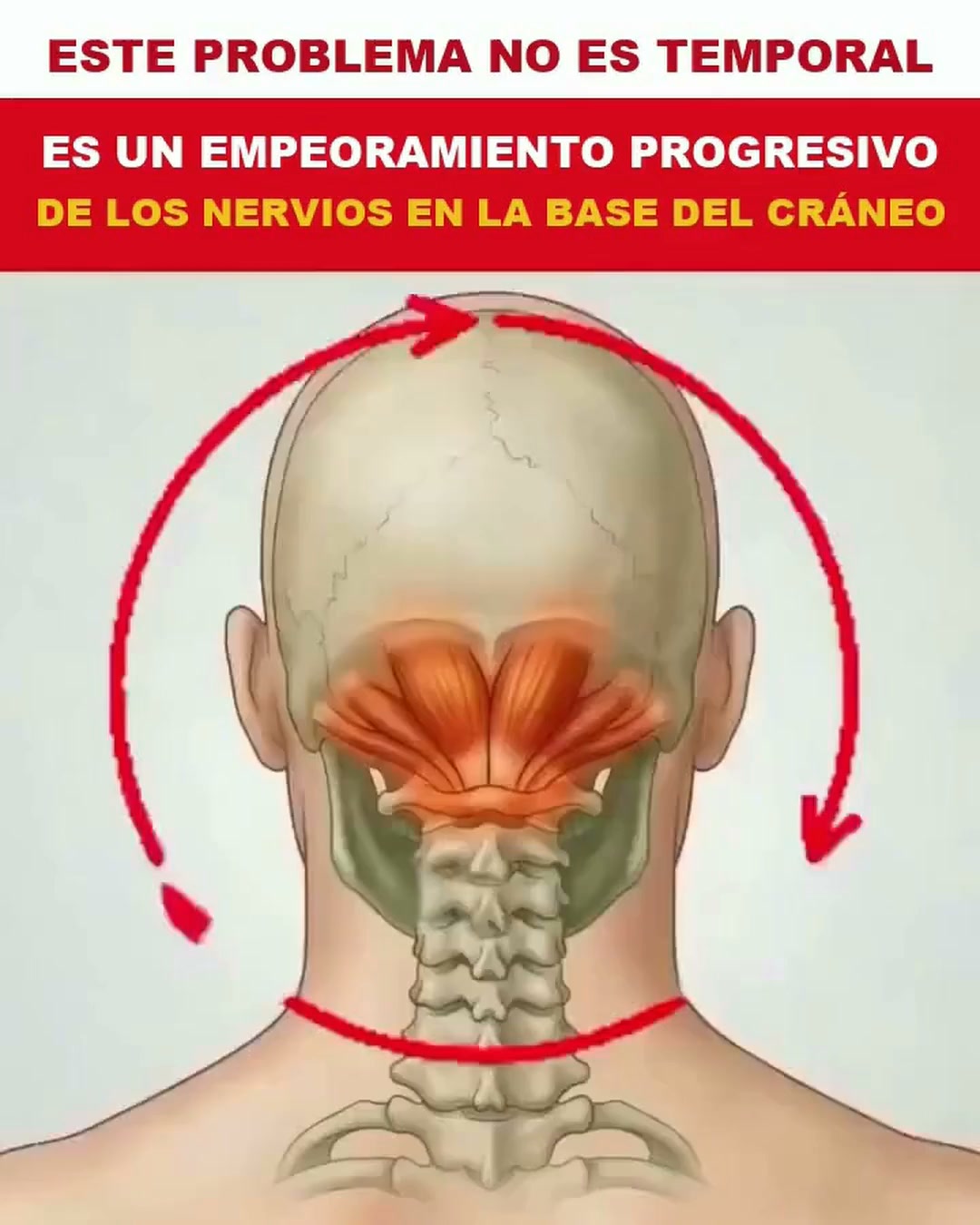 Por Qué los Mareos, la Taquicardia y el Reflujo Suelen Empezar en el Cuello