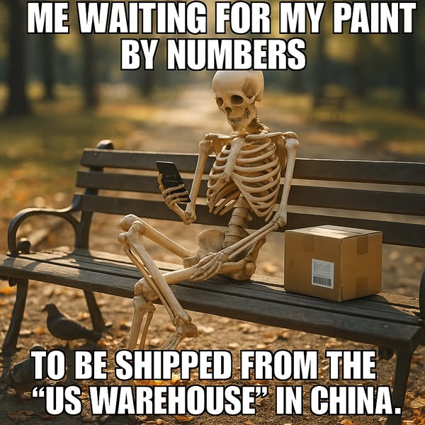 Buy 1 Get 1 Free + Free Shipping
