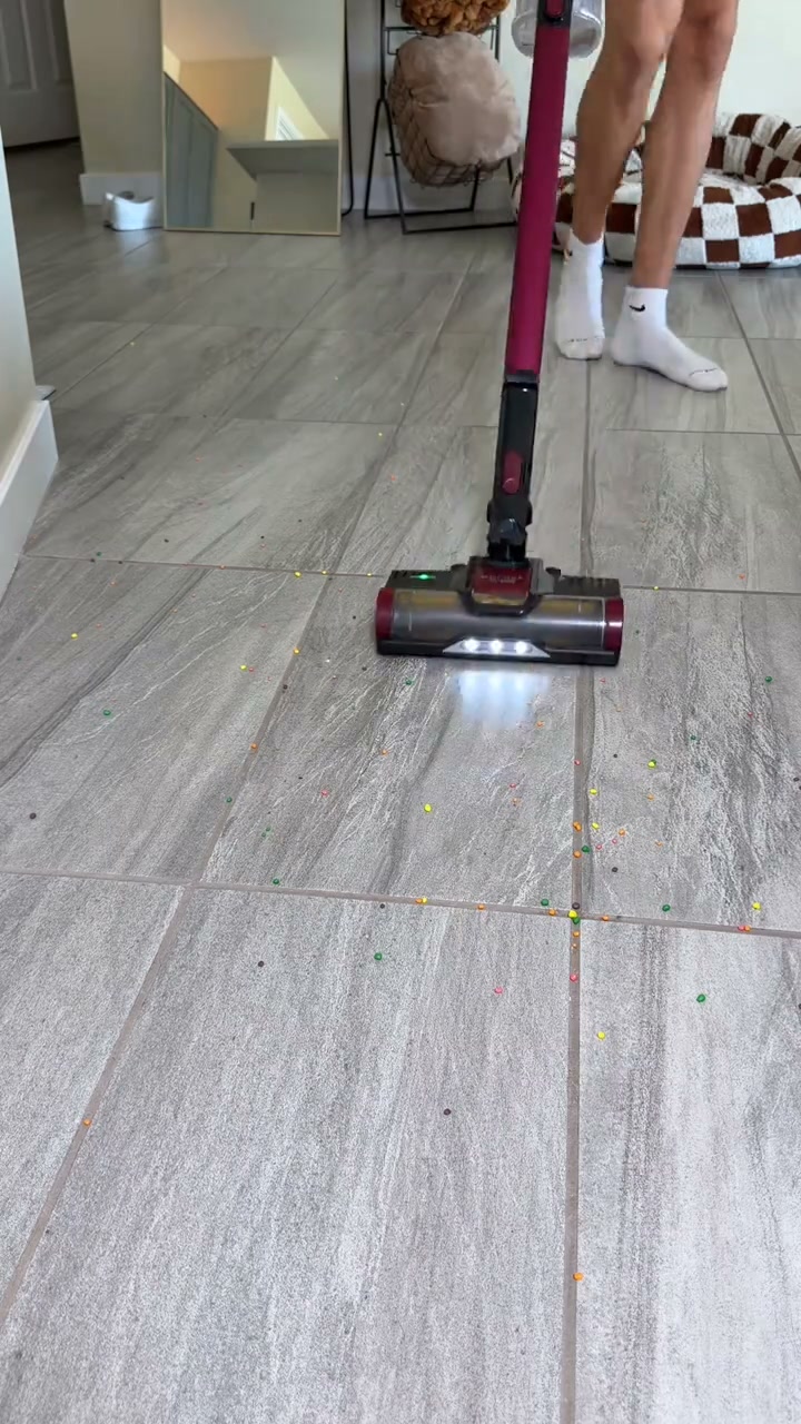 Powerful Indoor/Outdoor Blower Cleaner