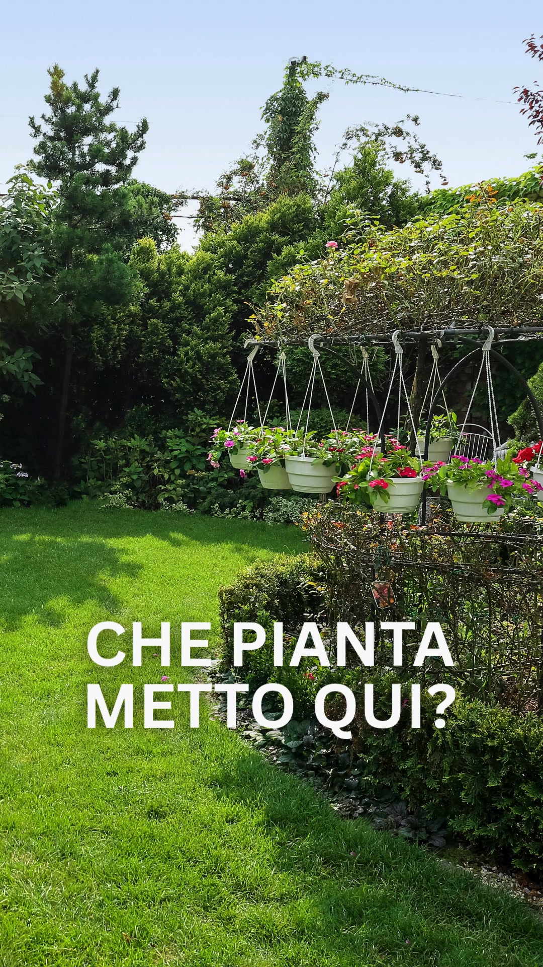 IL MILLEPIANTE 2026 è arrivato
