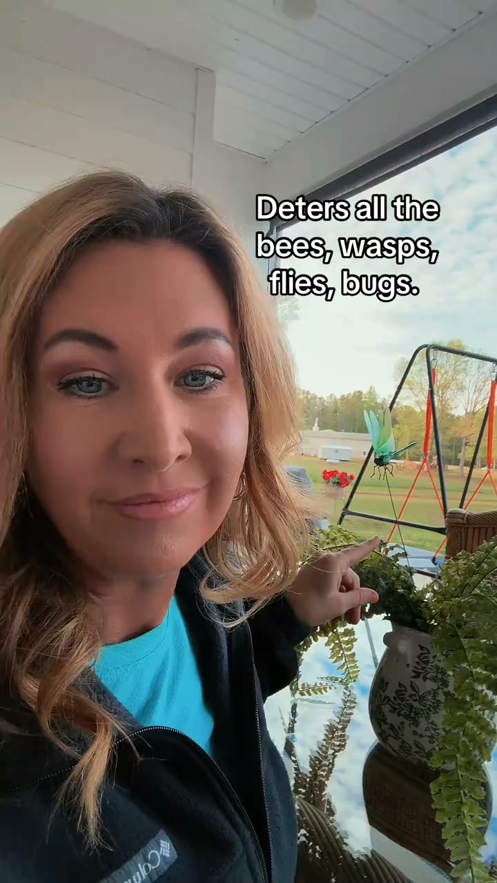 3D Dragonfly Bug Repellent Clips