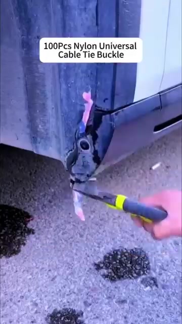 Anúncio de Thomson Auto Repair Specialists