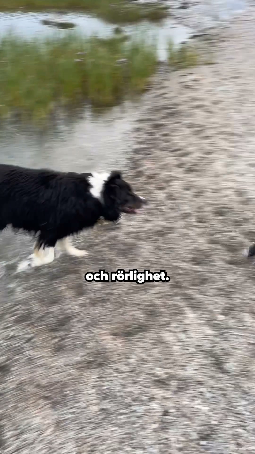 Om Du Känner Igen Några Av Dessa Tecken, Så Prova Detta Effektiva Godis
