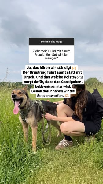 In 2-4 Tagen bei dir