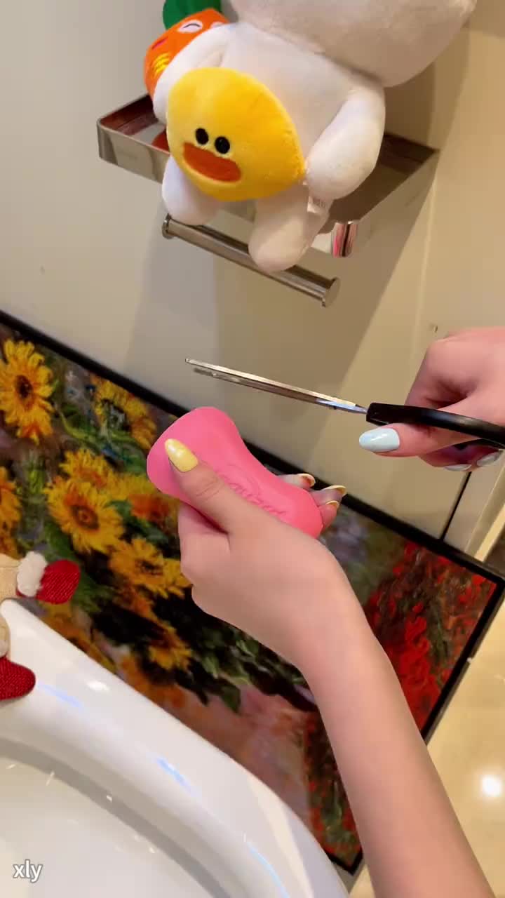 Disposable Toilet Brush