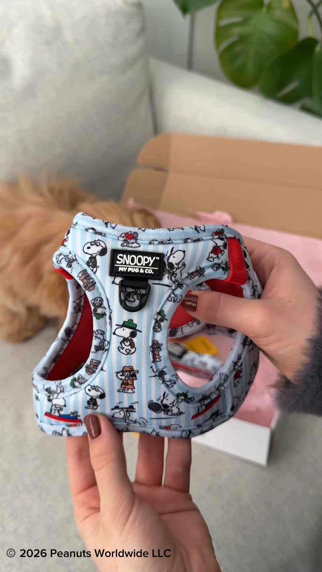 SnoopyTM x My Pug & Co