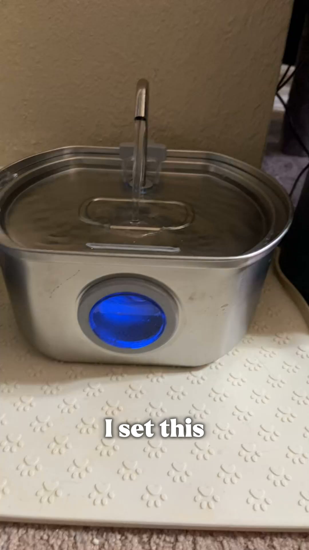 Help Your Cat Drink More