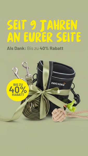 Bis zu 40% Rabatt im Birthday Sale!