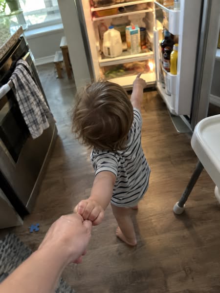 Read this if your toddler points at everything and says nothing