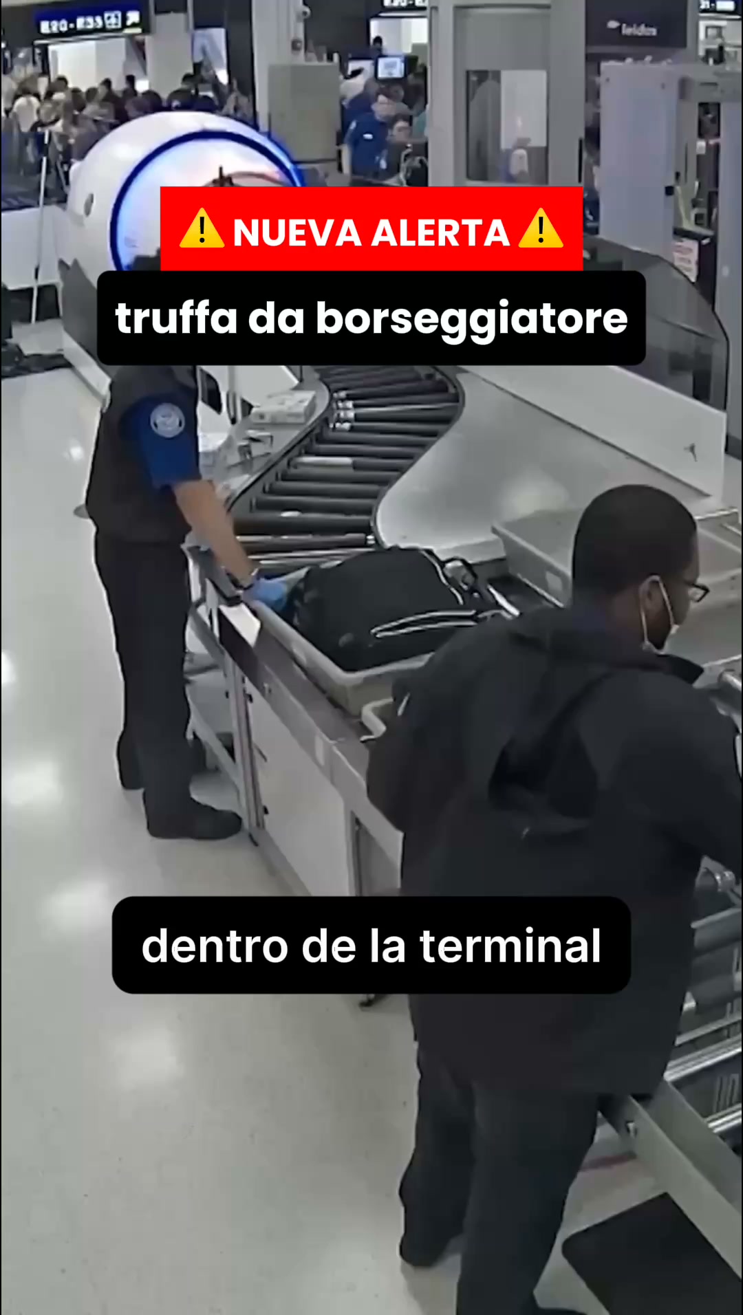 Protégete de los carteristas digitales