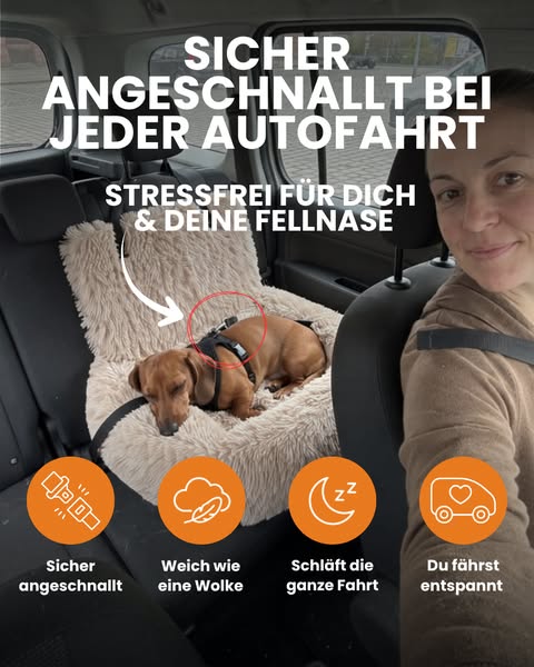 Ruhig, kuschelig & sicher angeschnallt