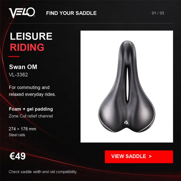 Swan OM — Leisure Riding
