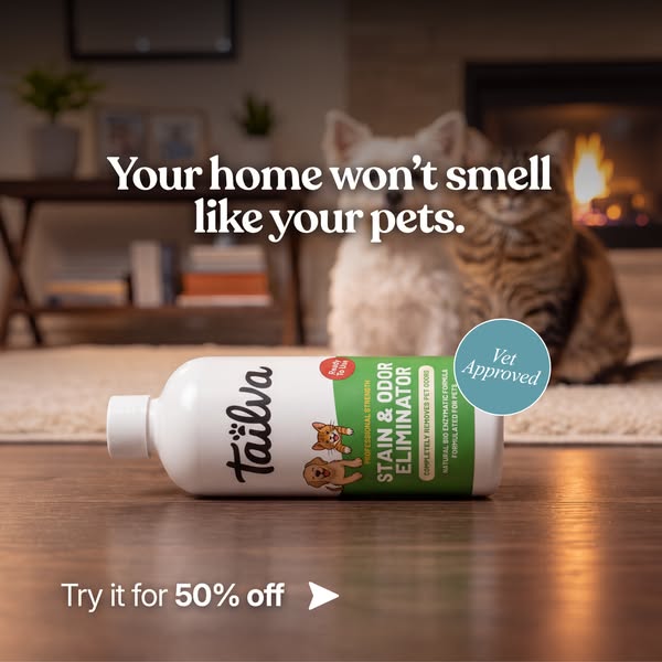 Animal Shelters Use This to Erase Stains & Odors