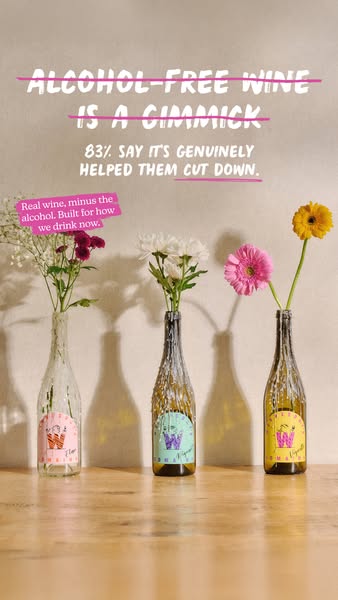 Shop alcohol free today