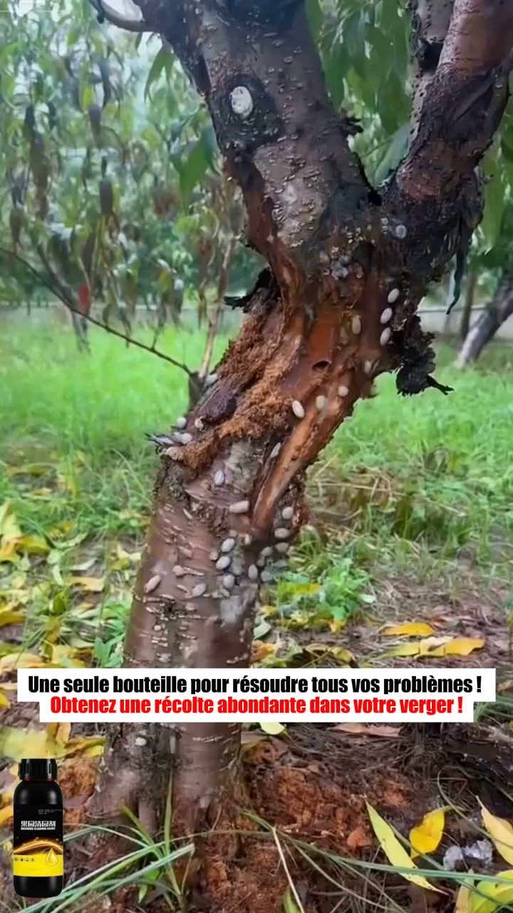 Anúncio de Genketh-furniture