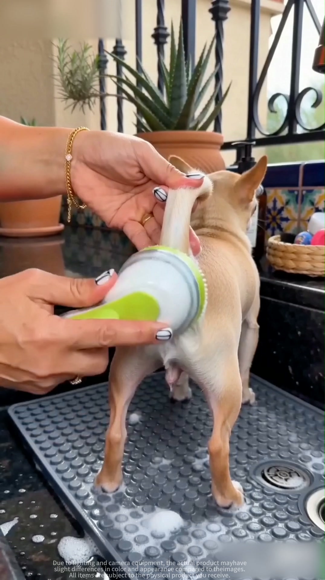 2-in-1 Pet Bath Brush – Shampoo Dispenser & Soft Massage Grooming Tool