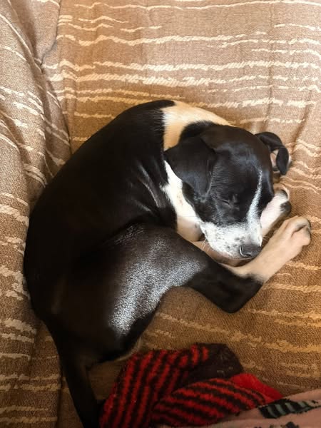He slept through the postman