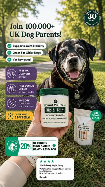 Support Their Joints. Protect Their Best Years.