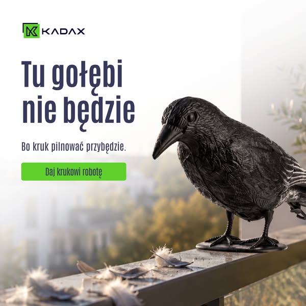 Ten kruk pilnuje Twojego rewiru.