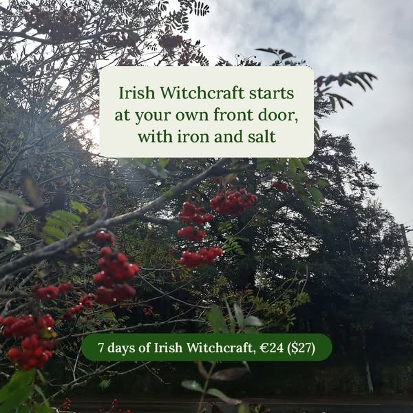 A bit lost in witchtok? Start here