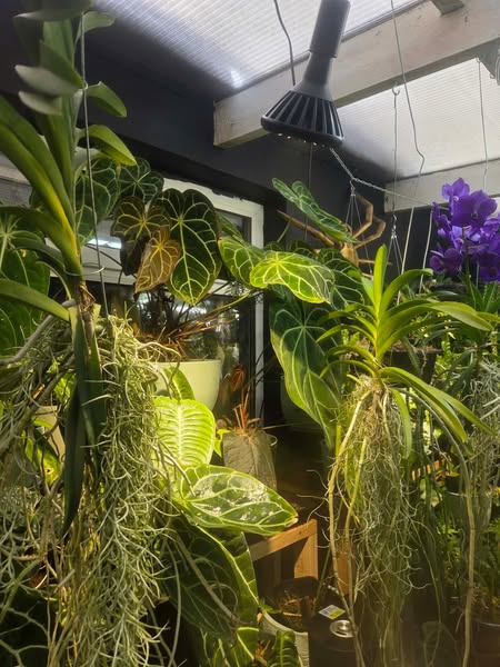Transform Your Plants in 90 Days