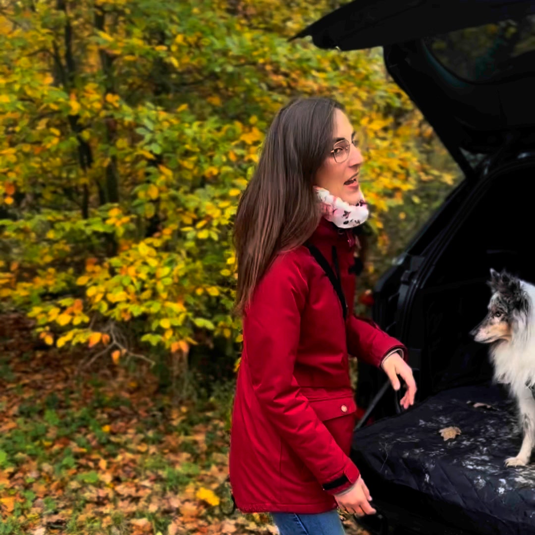 Hochwertiges Hundezubehör
